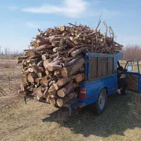 خرده و ضایعات درخت