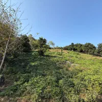 زمین مسکونی