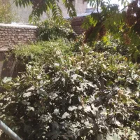 واحد اجاره ای ۱۲۰ متری