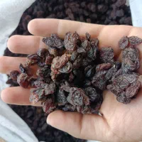 کشمش افتابی سورت لیزر بدون حتی یه دونه سوک و روغن|خوردنی و آشامیدنی|اصفهان, زهران|دیوار