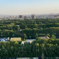 واحد ۲۵۰ متری روبه دهکده