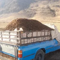 کود حیوانی (گوسفندی)