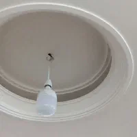 گچکاری|خدمات پیشه و مهارت|کاشان, دشت چال|دیوار