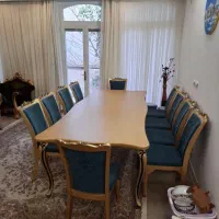 میز غذاخوری ۱۰ نفره به همراه ۱۰ صندلی