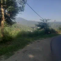 زمین و املاک