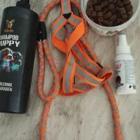 لوازم حیوان خانگی (سگ)