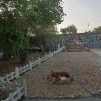 فروش منزل مسکونی
