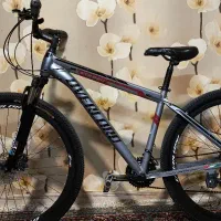 دوچرخه اورلورد