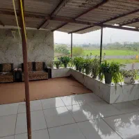 نیازمند نیروی کار جهت کار در گلخانه