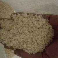 فروش برنج محلی درجه یک