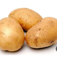 سیب زمینی سراب