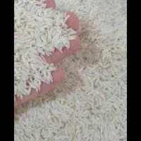 برنج طارم کشت دوم