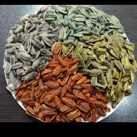 تخمه آفتابگردان