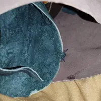 چرم طبیعی|کیف، کفش، کمربند|بندرعباس, |دیوار