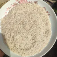 نیم دانه هاشمی