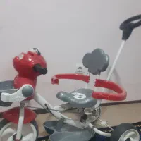 دوچرخه و سه چرخه|دوچرخه، اسکیت، اسکوتر|یاسوج, |دیوار