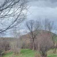 فروش-زمین-زراعی
