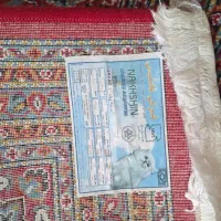 فرش و کناره نخشین|فرش|سنندج, |دیوار