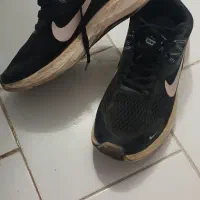 کفش|کیف، کفش، کمربند|نیشابور, سید جمال الدین|دیوار