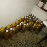 خیارشورخراسان|خوردنی و آشامیدنی|محمدشهر, همایون ویلا|دیوار