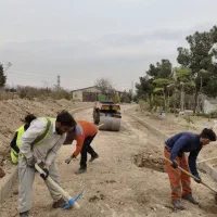 اجاره دهنده غلطک برای کوبیده شدن کف سازی|ماشینآلات صنعتی|اشتهارد, |دیوار