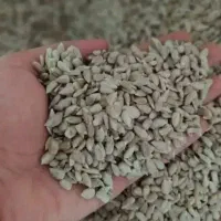 مغزتخمه آفتابگردون خام و مزه دار شده