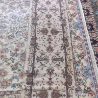 بردری و کناره