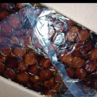 خرمای خاصویی بندر درج یک  یک