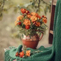 همفکری و مشاوره دادن