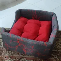 بالشت پت و گربه|لوازم جانبی حیوانات|سبزوار, پاسداران|دیوار