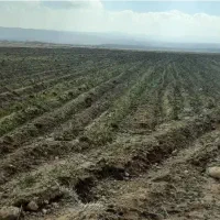 زمین-کشاورزی-در-روستای-خادم-اباد