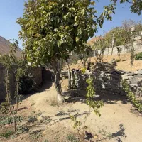 زمین