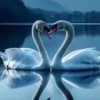 طراحی