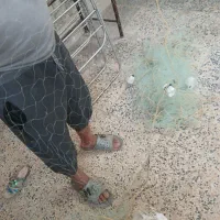 تور کرفه ماهیگیری