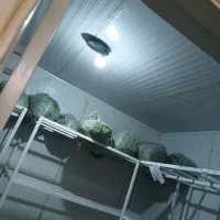 فروش فوری سردخانه یخچال بالای صفر