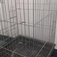 اکواریوم ب همراه ۳ ماهی و ۴قفس ۱۰۳۳|ماهی|تهران, سبلان (لشگر)|دیوار