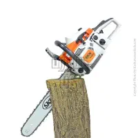 هرس درخت تخصصی باغ باغچه بریدن درخت مزاحم