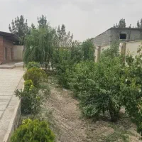 باغ ویلا 570متری درخت کاری شده اطراف ساخت|فروش خانه و ویلا|شهریار, اصیل آباد|دیوار