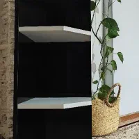 کابینت، باکس|کتابخانه، شلف، قفسه‌های دیواری|رشت, چله خانه|دیوار