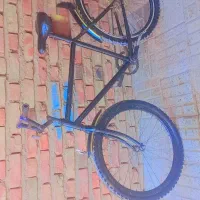 دوچرخه|دوچرخه، اسکیت، اسکوتر|ایرندگان, |دیوار