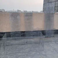 قفس تاشو پران