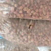 خرما ضایعات زاهدی|خوردنی و آشامیدنی|صوفیان, |دیوار