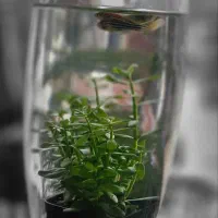 مغازه بهترین مکانیت شهر