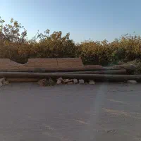 تیر برق چوبی|مصالح و تجهیزات ساختمان|زارچ, |دیوار