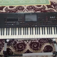 کرگpxa4|پیانو، کیبورد، آکاردئون|تربت جام, مطهری|دیوار