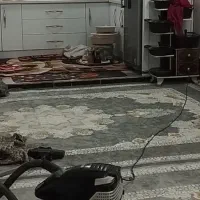 جفت فرش دوازده متریگل برجسته در حد نو