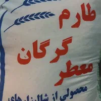 برنج طارم گرگان