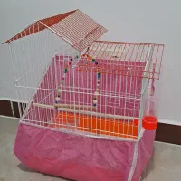 قفس پرنده|لوازم جانبی حیوانات|رشت, پل تالشان|دیوار
