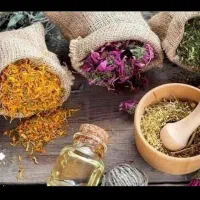 کار در منزل ویژه بانوان