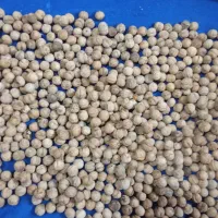 گردو|خوردنی و آشامیدنی|هشتگرد, تهران دشت|دیوار